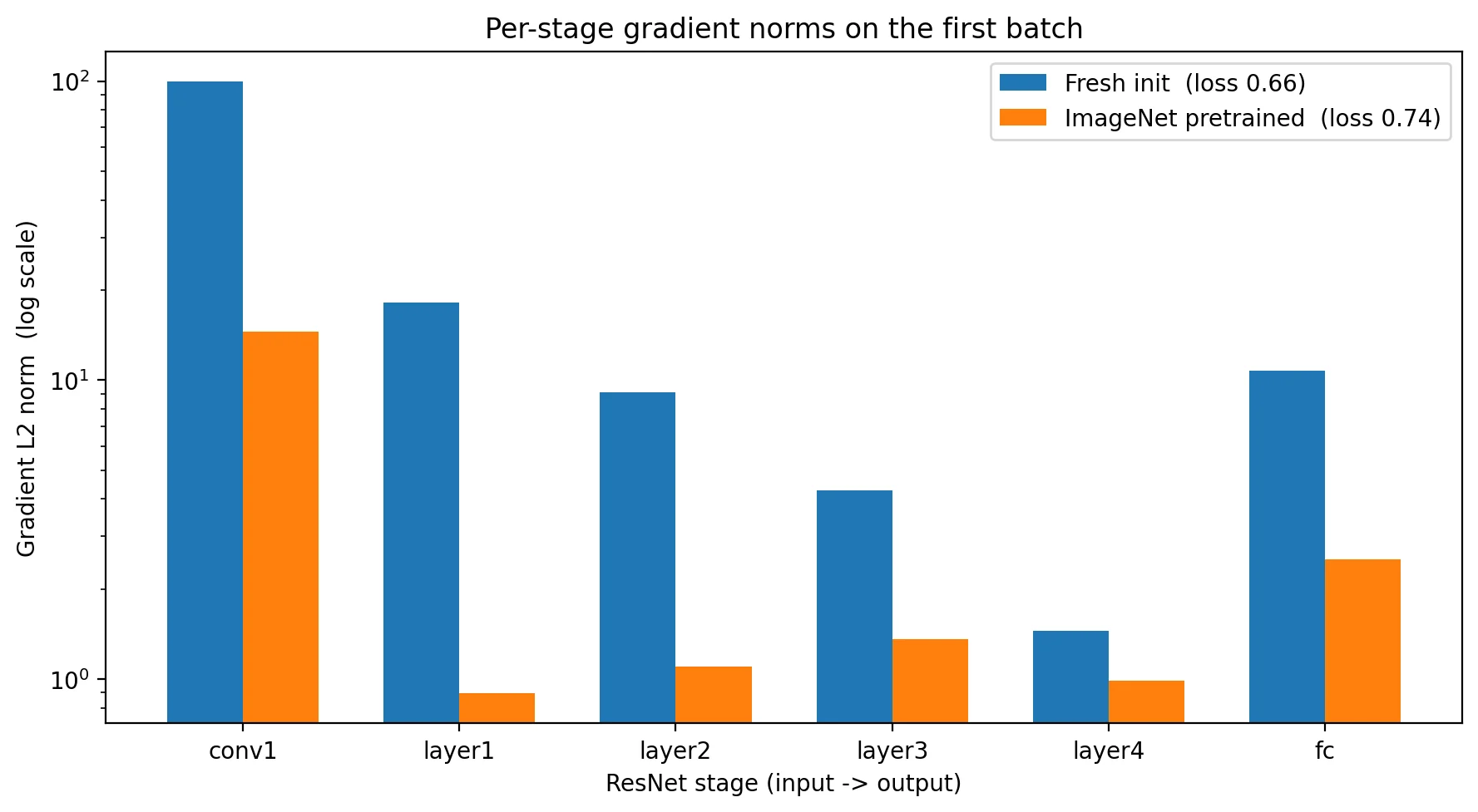 Bar chart comparing per-stage gradient L2 norms on the first batch for fresh-init ResNet50 (blue) and ImageNet-pretrained ResNet50 (orange). The y-axis is logarithmic. Fresh-init has gradient norms an order of magnitude larger than pretrained at every stage.