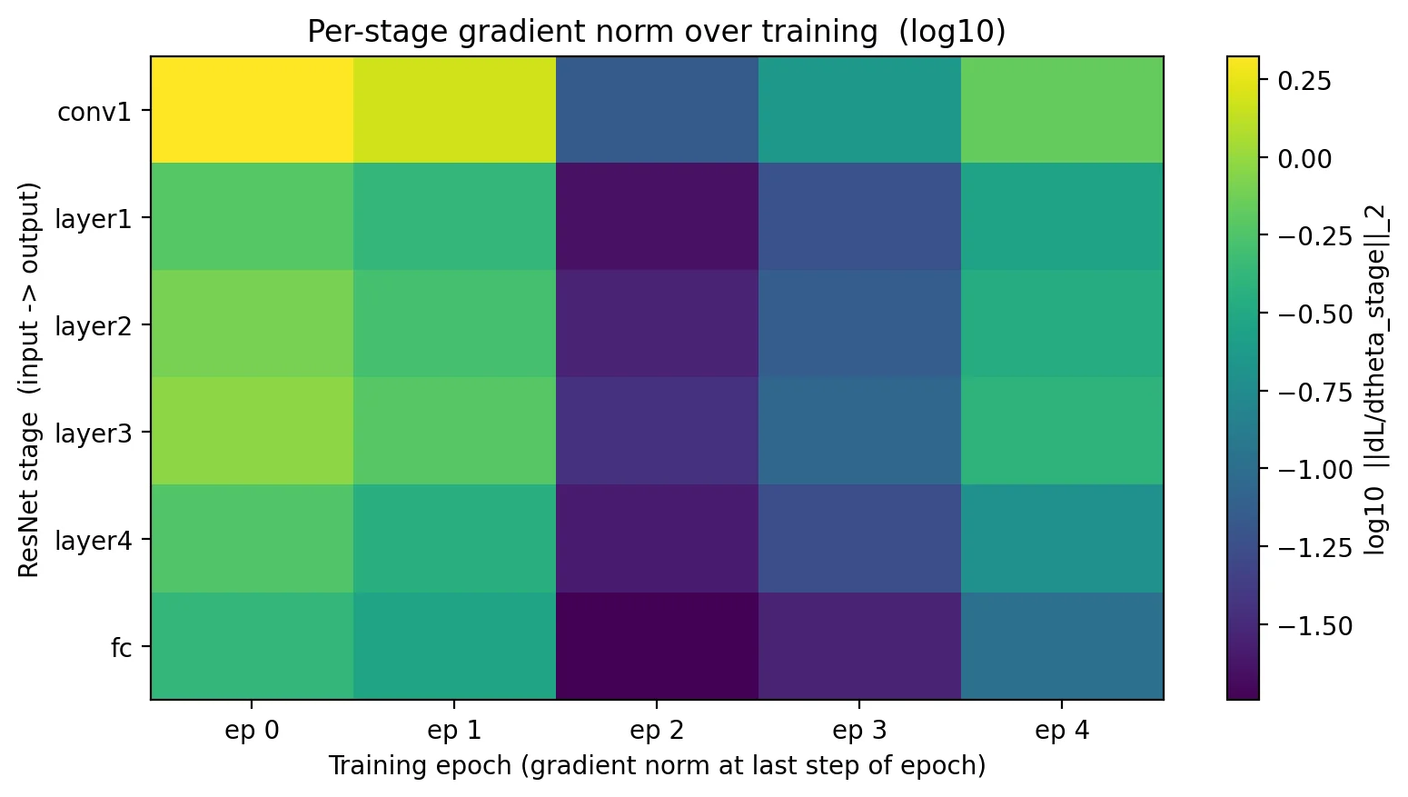 Heatmap with ResNet stages (conv1, layer1-4, fc) on the y-axis and training epochs 0-4 on the x-axis. Color encodes log10 gradient L2 norm. Epoch 0 is the brightest (highest gradients); epoch 2 has an anomalously dark column; epochs 3-4 are intermediate.